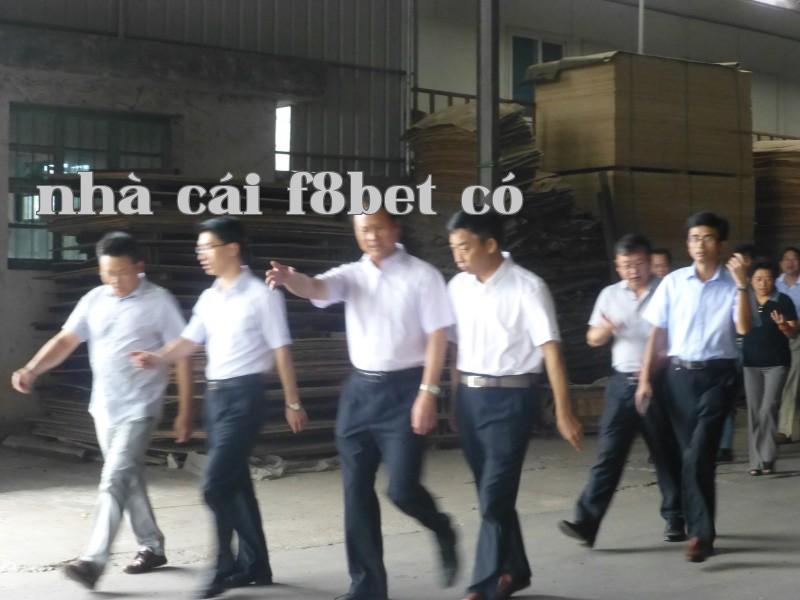 Các lãnh đạo chủ chốt của huyện đến thăm và chỉ đạo công ty