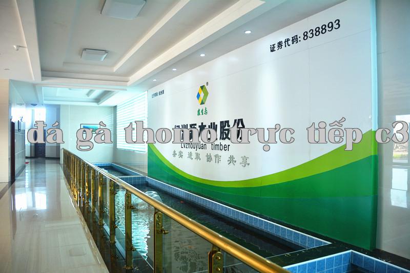 Một góc khu văn phòng