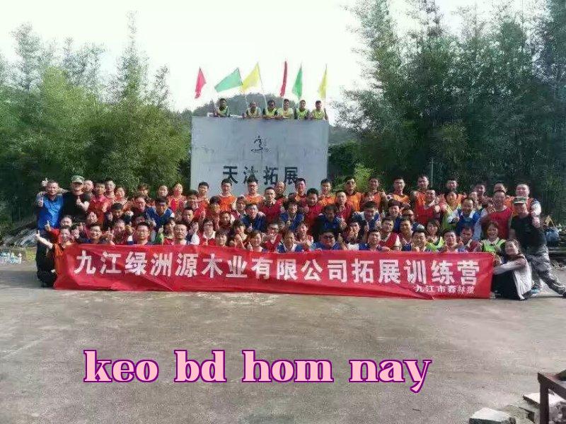 Khu vực xanh Đồ Giang năm 2017 đạt thành tích kinh doanh xuất sắc