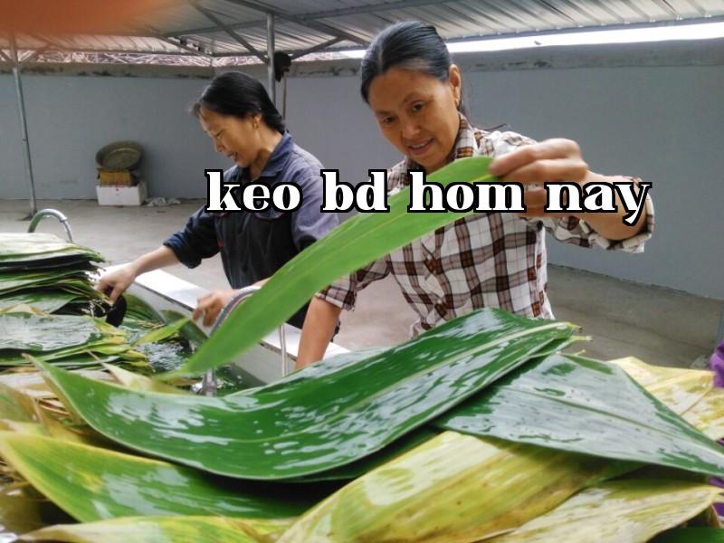 Nguồn Oasis Hương Lá Dong Nhiều Phúc Lợi
