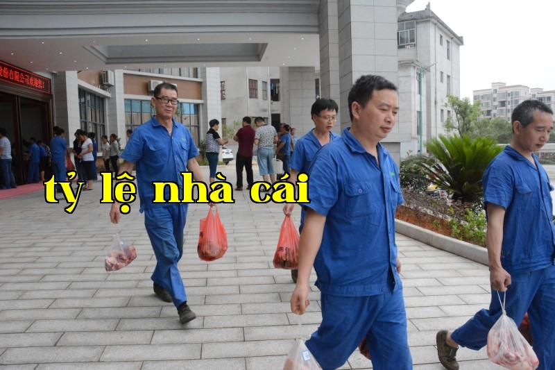 Nguồn Oasis Hương Lá Dong Nhiều Phúc Lợi