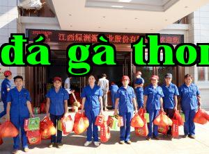 Trăng sáng vào rằm Trung thu, tình cảm tràn đầy Green Oasis Source