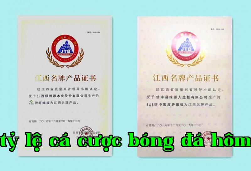 “Hài hòa sinh thái” và “Hài hòa rừng” cùng đạt “Sản phẩm nổi tiếng của Giang Tây”