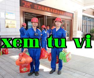 Trăng sáng vào rằm Trung thu, tình cảm tràn đầy Green Oasis Source