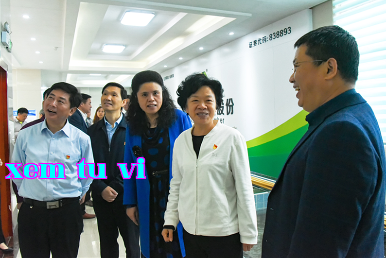 Ủy viên Thường vụ Thành ủy Gia An, Chủ tịch Công đoàn Thành phố Xiao Yulan đến thăm và chỉ đạo công việc của chúng tôi.