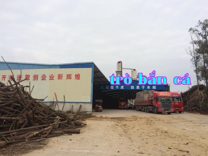 Khu vực sản xuất sáu